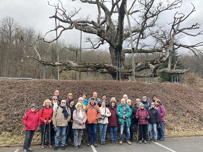 Wanderung20250301.jpg